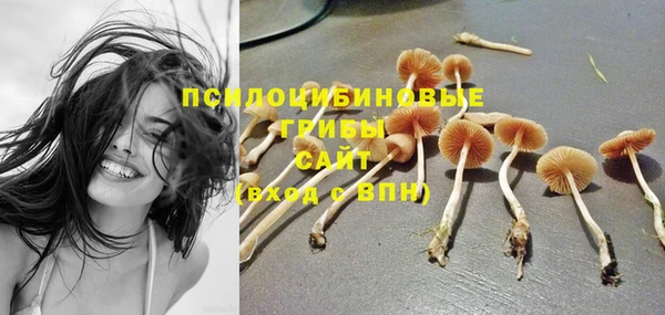 мяу мяу мука Балабаново